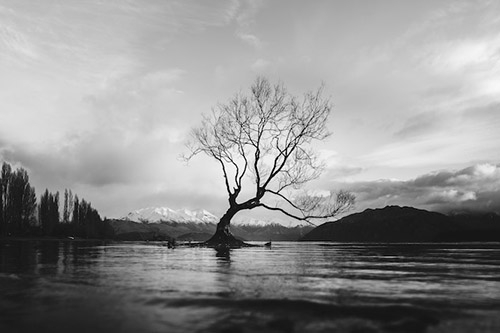 Black and White Photography - Top 10 Tips for Black and White Pictures