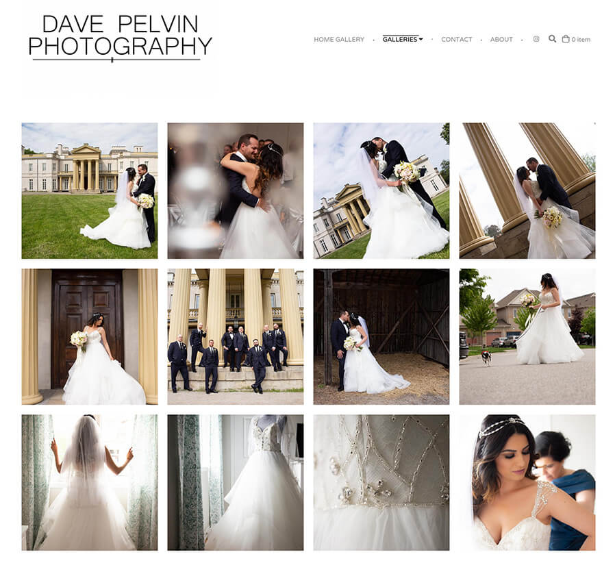 Ejemplos de sitios web de la cartera de Dave Pelvin Photography