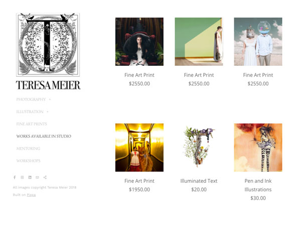 Teresa Meier Portfolio Website Examples