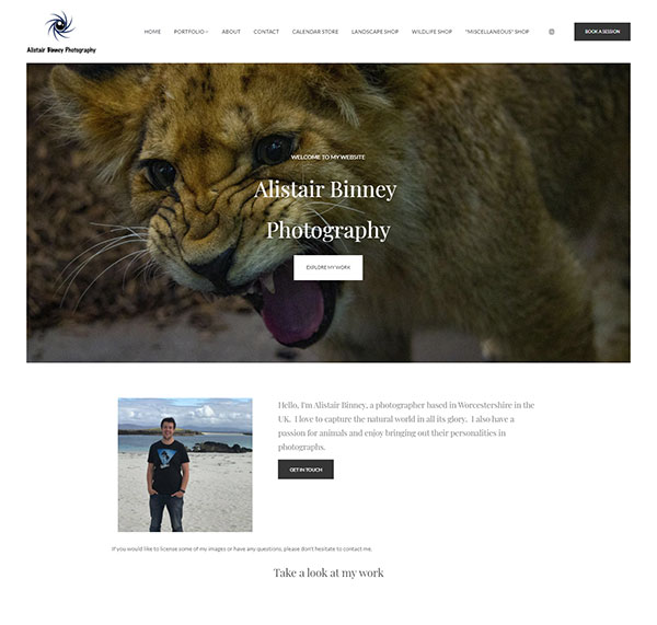 Alistair Binney Portfolio Website Examples