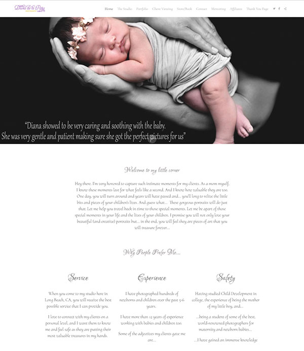 Diana De La Pena Portfolio Website Examples