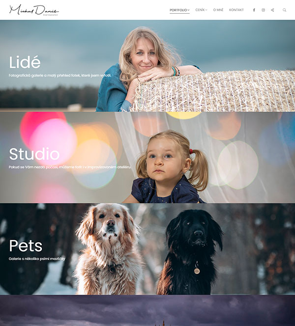 Michal Danis Portfolio Website Examples
