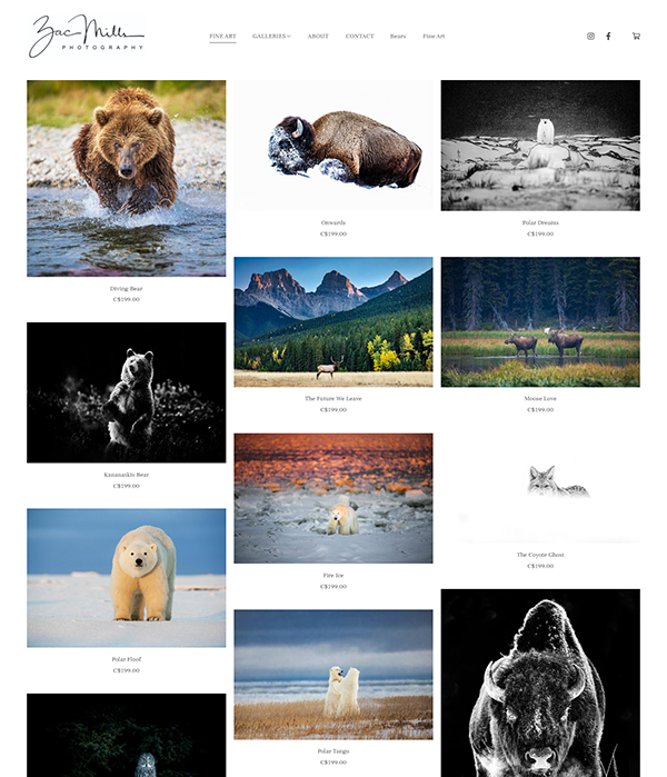 Zac Mills - Sito web del portfolio di fotografi naturalisti - Pixpa
