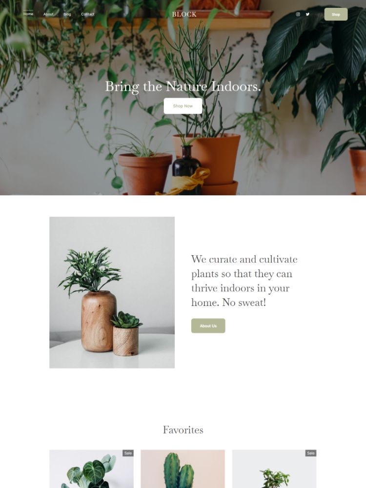 Bloco - Pixpa Small Business Website Template