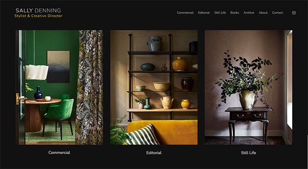 Sally Denning Portfolio Website Examples