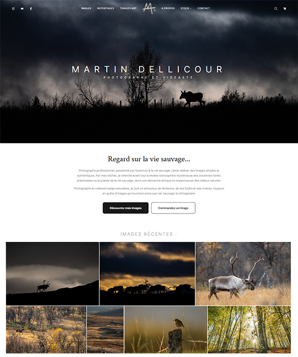 Esempi di siti web in portafoglio di Martin Dellicour
