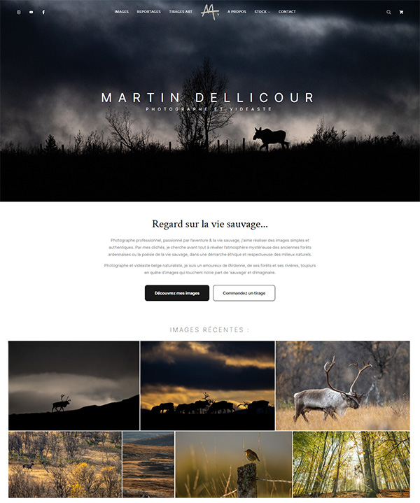 Martin Dellicour Portfolio Exemples de sites web