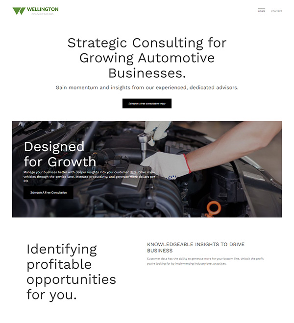 Wellington Consulting Inc Portfolio Website Examples